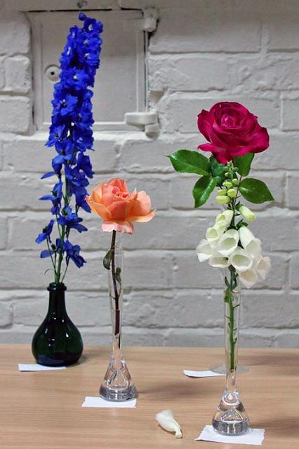 3. Good weather produced some stunning blooms.jpg